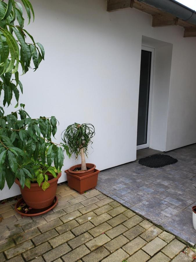 Apartman Stary Liskovec Брно Экстерьер фото